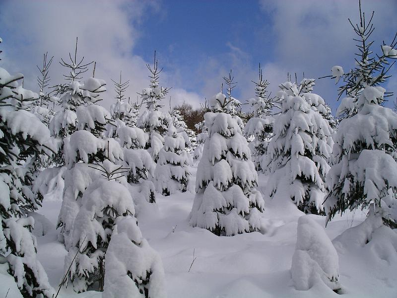 Winter 24.jpg